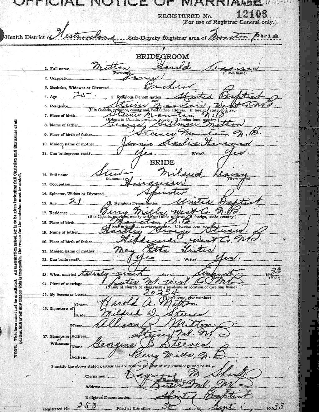 Digitized record