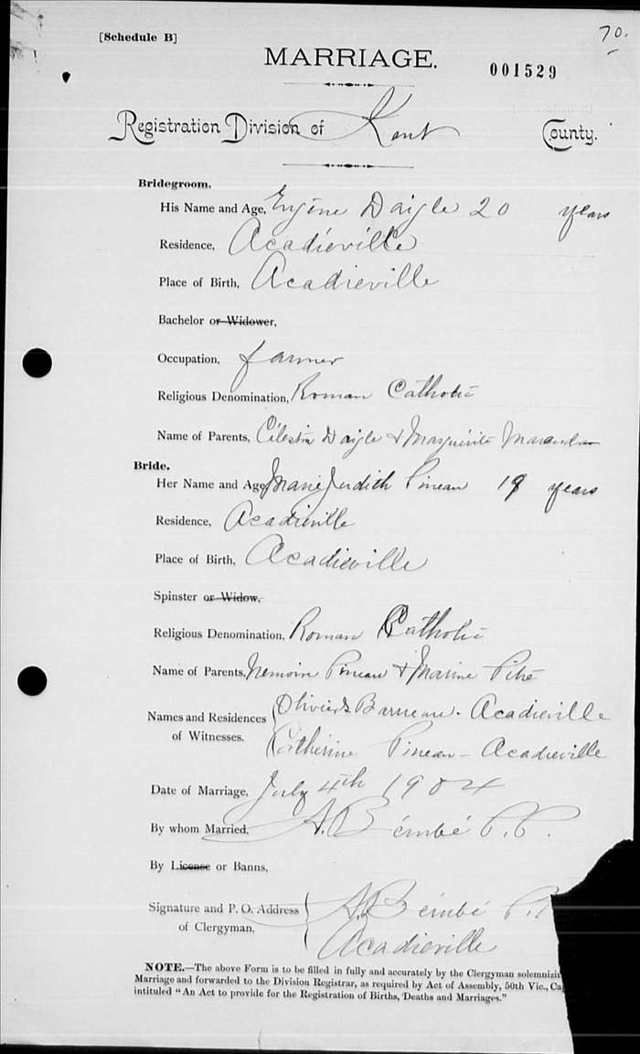 Digitized record