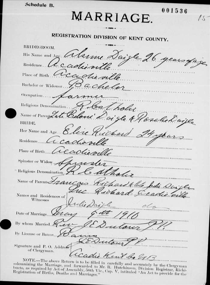 Digitized record