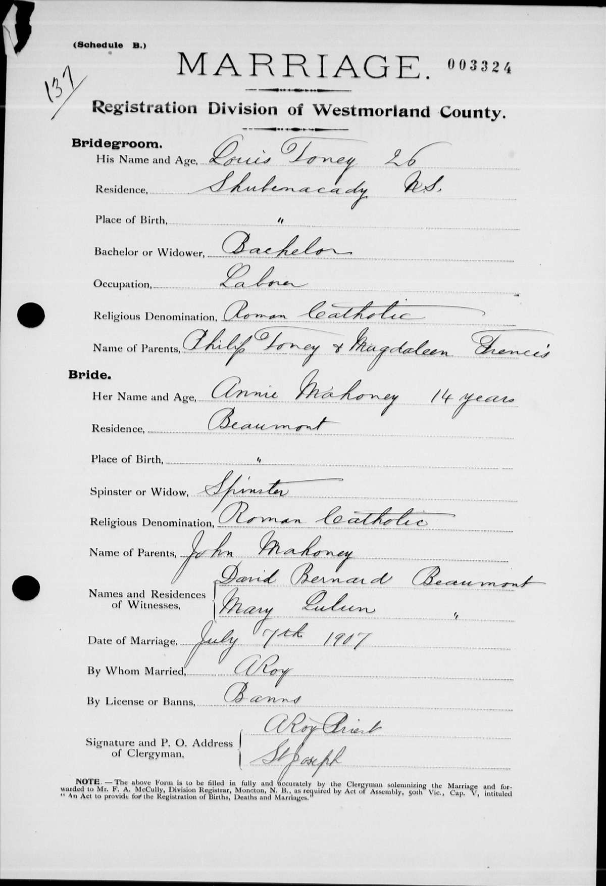 Digitized record
