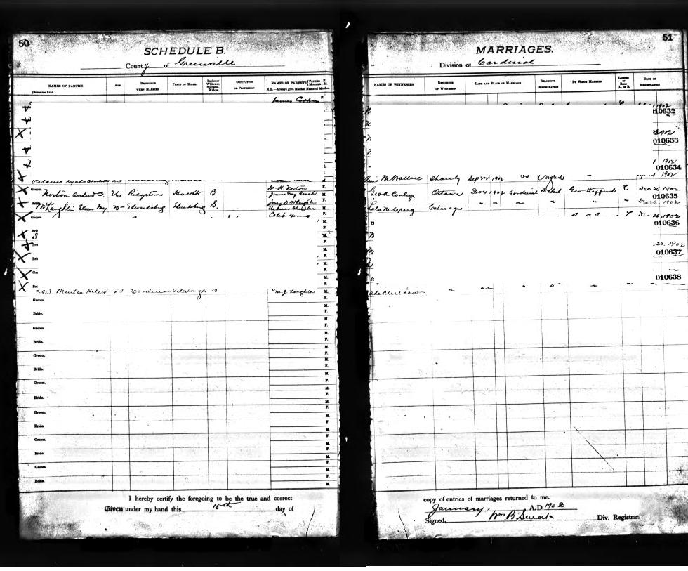 Digitized record