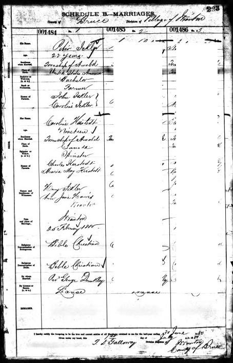 Digitized record