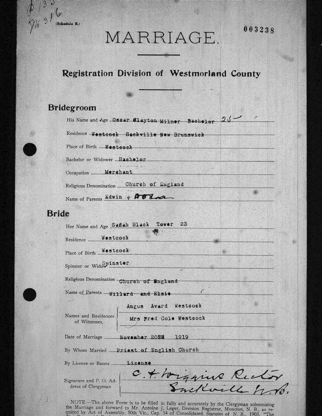 Digitized record