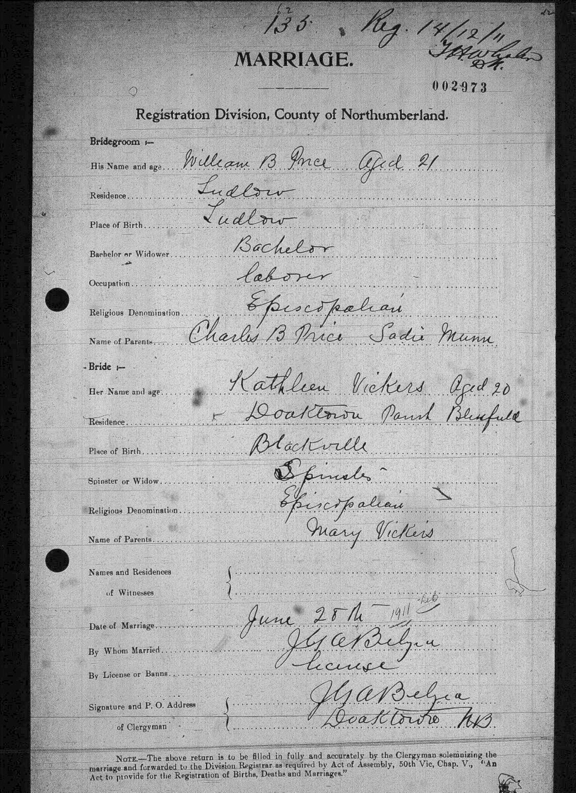 Digitized record