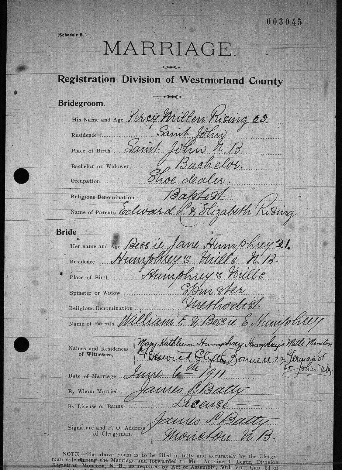Digitized record