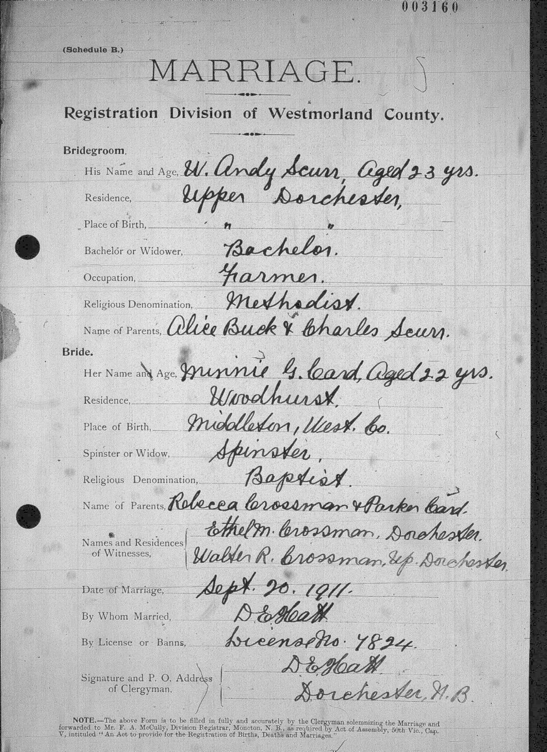 Digitized record