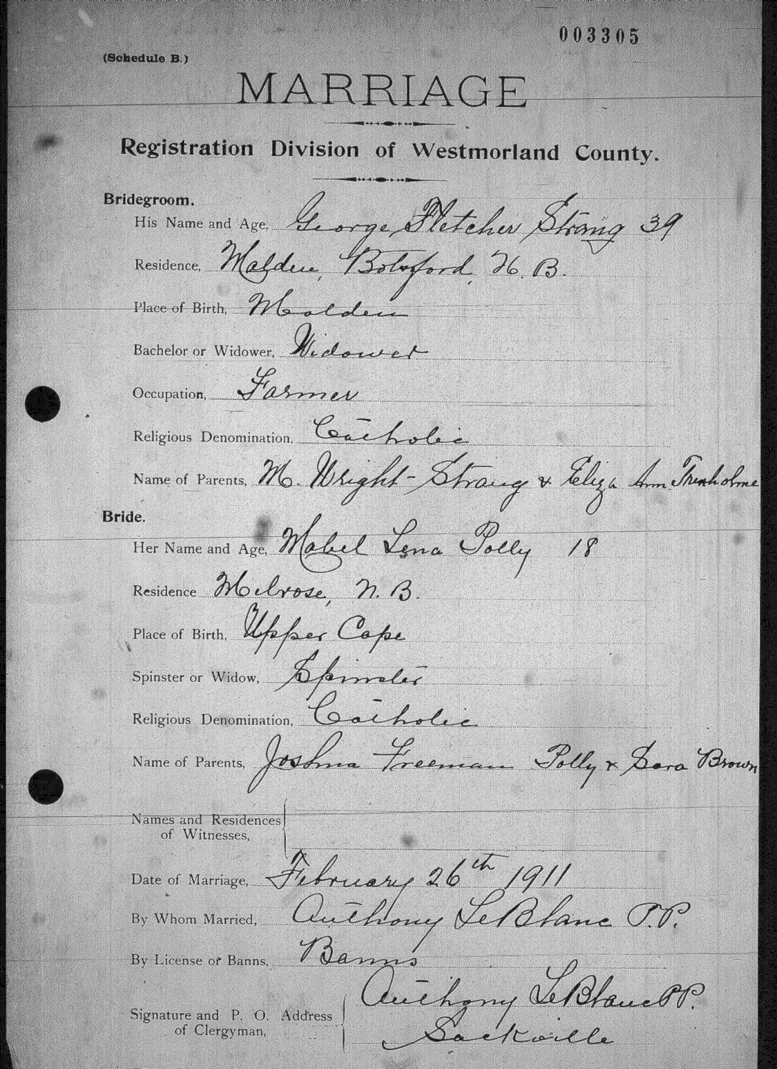 Digitized record