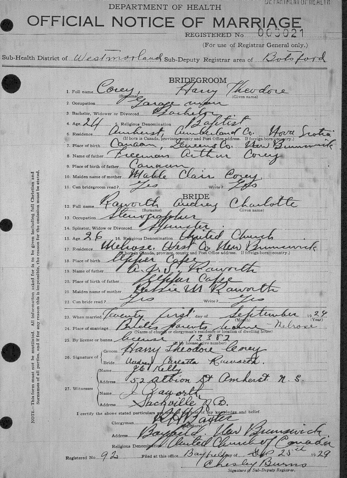 Digitized record