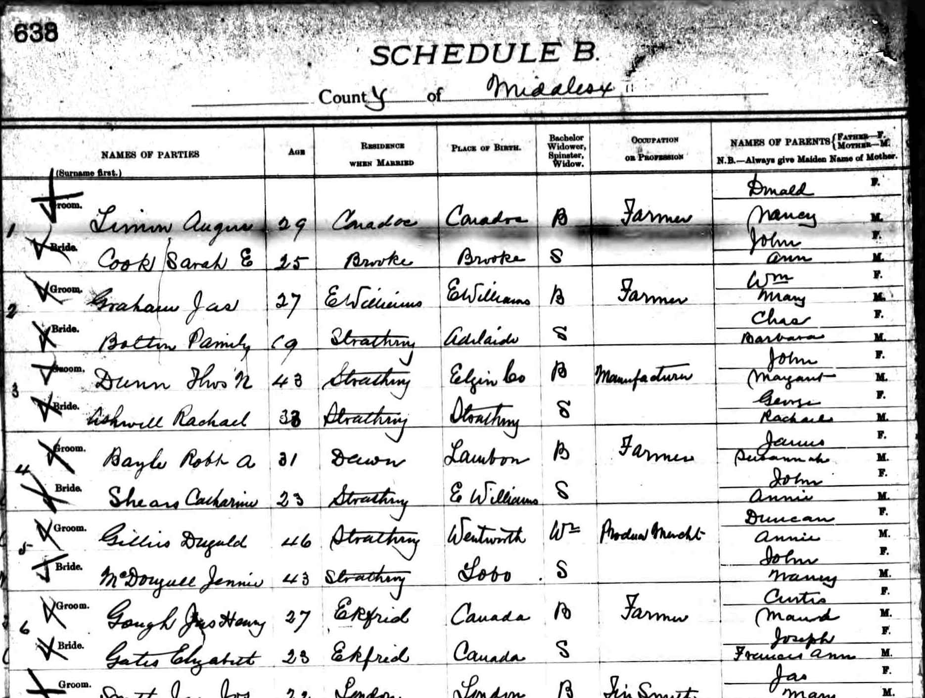 Digitized record