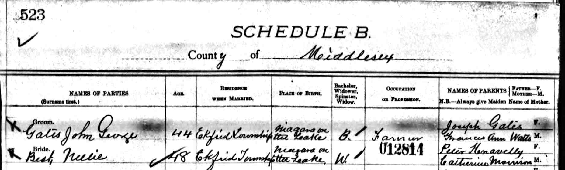 Digitized record