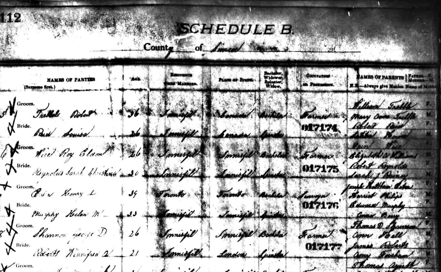Digitized record