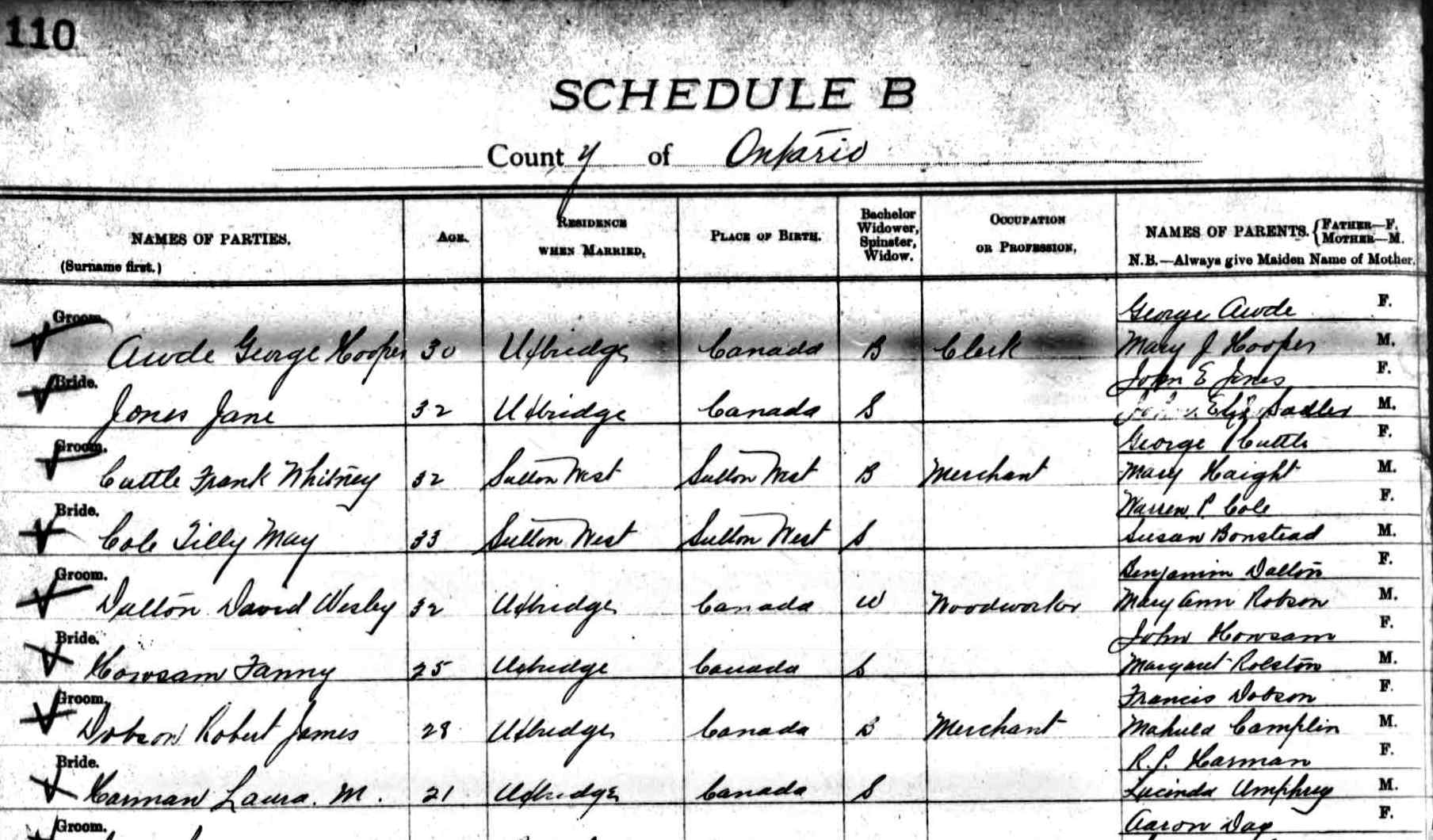 Digitized record