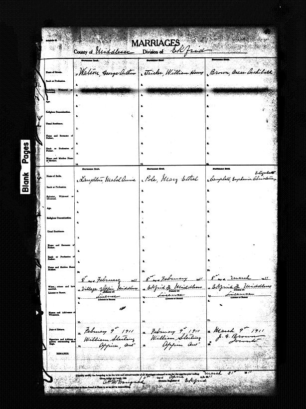 Digitized record